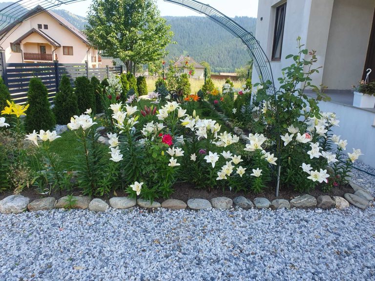 c79b8d37-c087-4599-8dfd-d7127e5e79d0